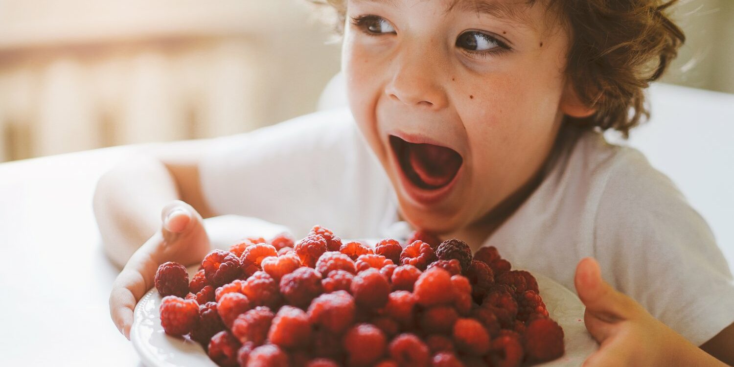 Cómo debe ser el desayuno de un niño Cómo debe ser el desayuno de un niño